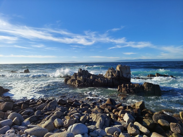 an image of the rocky shoreline the researchers studied.