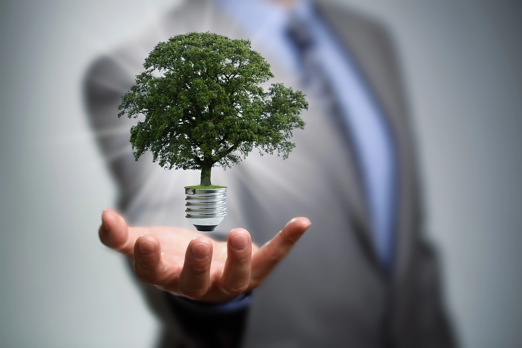 A man holding his hand out with a lightbulb in his palm. Instead of the glass globe of the lightbulb, a glowing tree is there. The image is meant to convey the concept of clean energy.